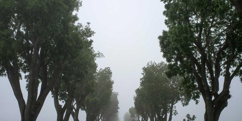 库存清仓28:揭秘工厂尾单背后的巨大商机与交易策略