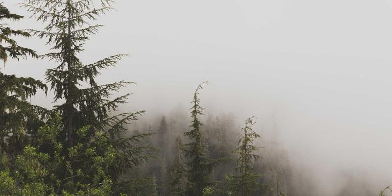 库存清仓54:工厂尾单与积压库存的黄金机遇与专业采购指南