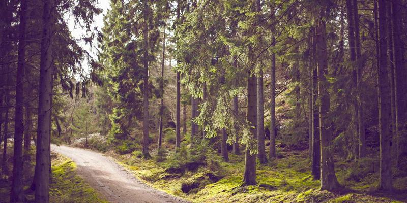 库存清仓新趋势：从清仓处理、尾货交易到工厂尾单的数字化变革