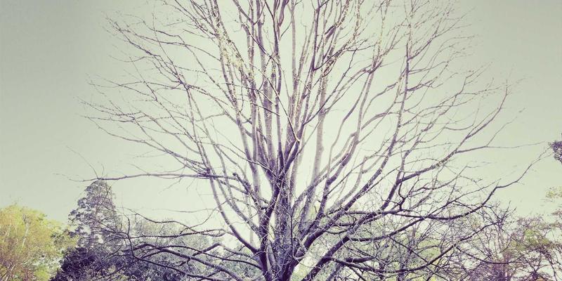 库存清仓的艺术：如何在尾货交易中做好客户关系管理，将清仓客转化为长期客户