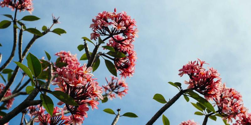 清仓处理新思维：工厂尾单与尾货批发的社会责任实践方案