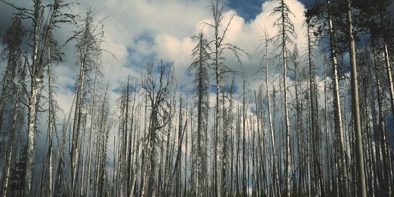 积压库存与工厂尾单清仓必读：三大法律风险规避全攻略