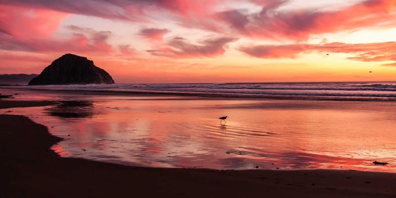 跨境电商库存清仓的物流与合规挑战：从尾货批发到高效变现的实战指南