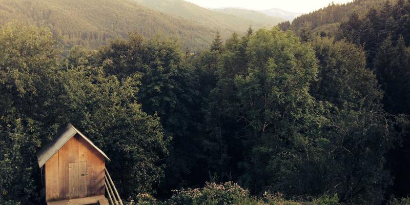 跨境电商库存清仓策略全解析：处理海外滞销库存的多种路径与成本分析